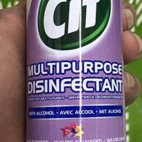 Cif Multipurpose Disinfectant Spray Wild Flowers Scent (2 X 200 Ml) Household Supplies