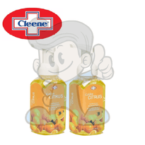 Cleene Golden Citrus Foaming Hand Soap (2 X 259Ml) Beauty