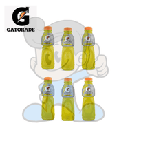 Gatorade Lemon Lime Drink (6 X 500Ml) Groceries