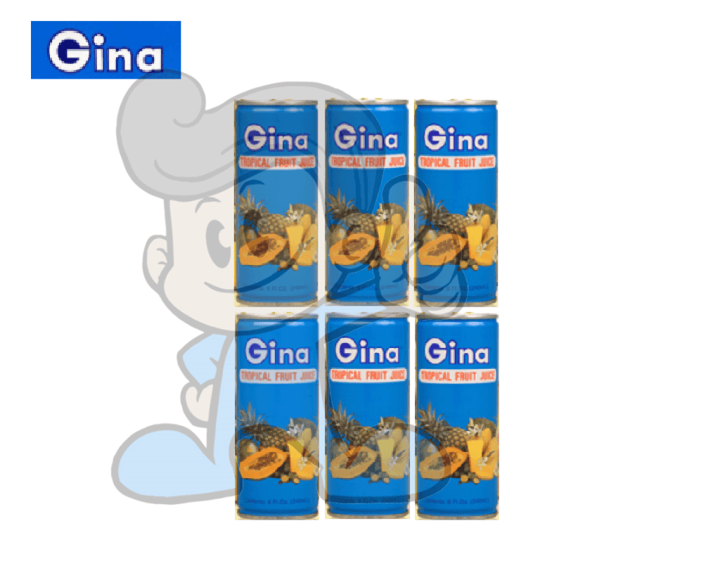 Gina Tropical Fruit Juice (6 X 240 Ml) Groceries