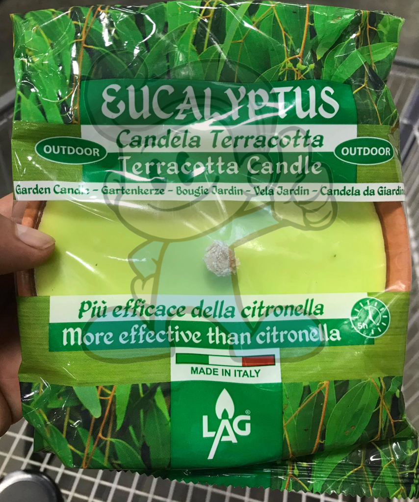 Lag Eucalyptus Outdoor Terracotta Candle Pack Of 2 Lighting & Décor
