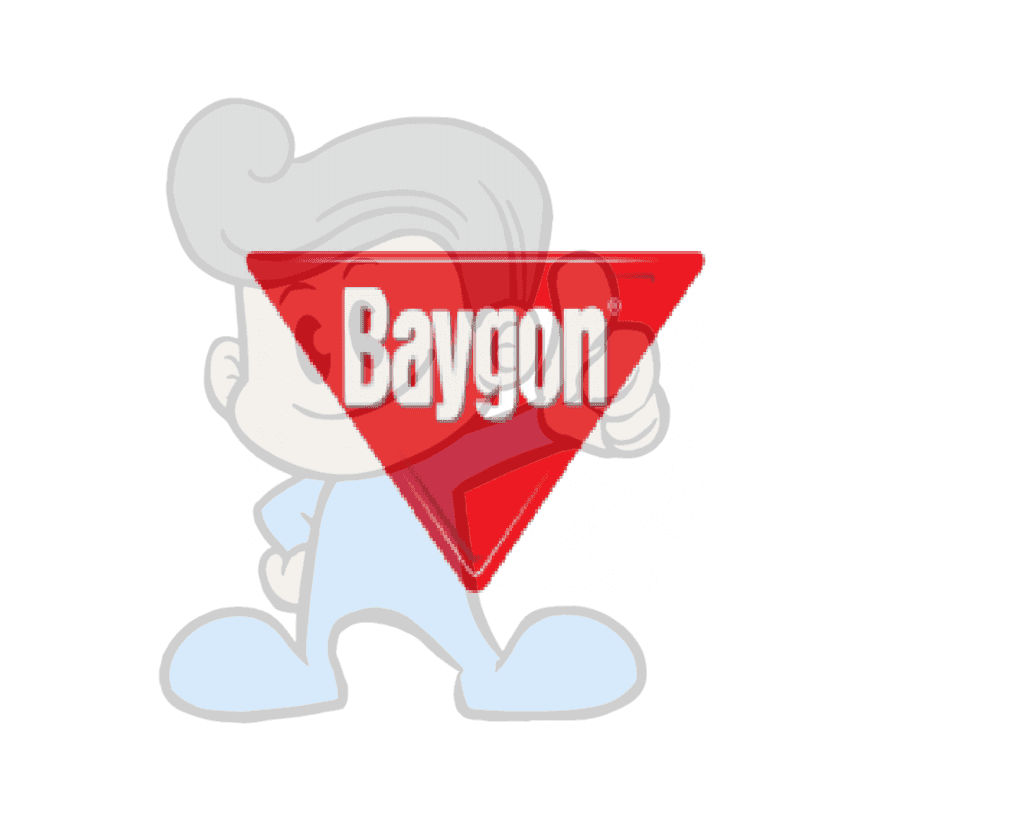 Scj Baygon 24-Hour Roach Killer Household Supplies