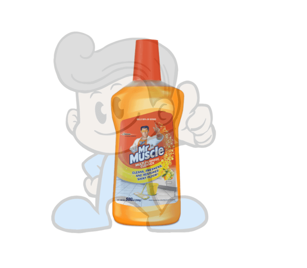 Scj Mr Muscle All Purpose Cleaner Fresh Lemon (2 X 500 Ml) Household Supplies